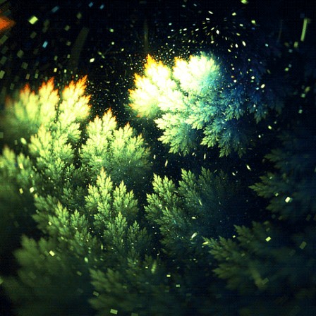 la nuit de la foret.gif, nov. 2015 la nuit de la foret.gif